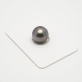 1pcs Cherry 12.2mm - NR AAA Quality Tahitian Pearl Single LP2091 THMIX2