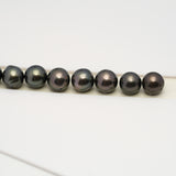 49pcs Dark 8-10mm - SR/NR AA/A Quality Tahitian Pearl Drilled Necklace NL1583 CMP4