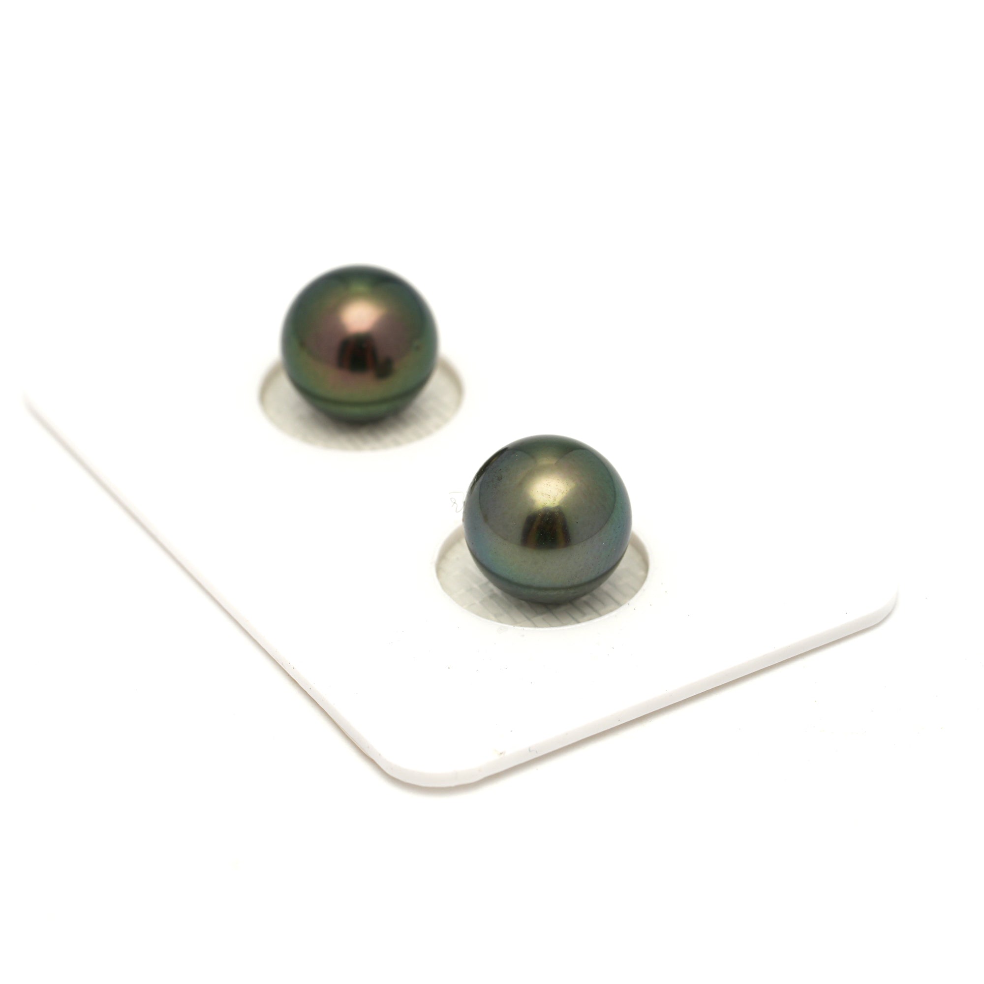 2pcs Peacock 9.5-9.7mm - RSR AAA Quality Tahitian Pearl Pair ER1742