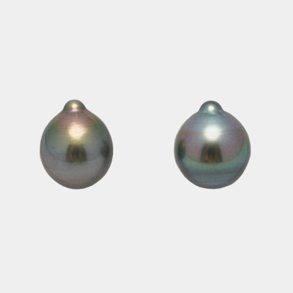 2pcs Green 11.6-11.8mm - SB AAA/AA Quality Tahitian Pearl Pair ER1479 THMIX2.6