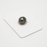 1pcs "Top Luster" Peacock 9.5mm - CL/SB AAA Quality Tahitian Pearl Single LP2131 HL3