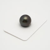 1pcs Dark 14.6mm - SR AA Quality Tahitian Pearl Single LP1984 THMIX2