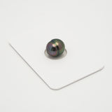 1pcs "Top Luster" Peacock 9.5mm - CL/SB AAA Quality Tahitian Pearl Single LP2131 HL3