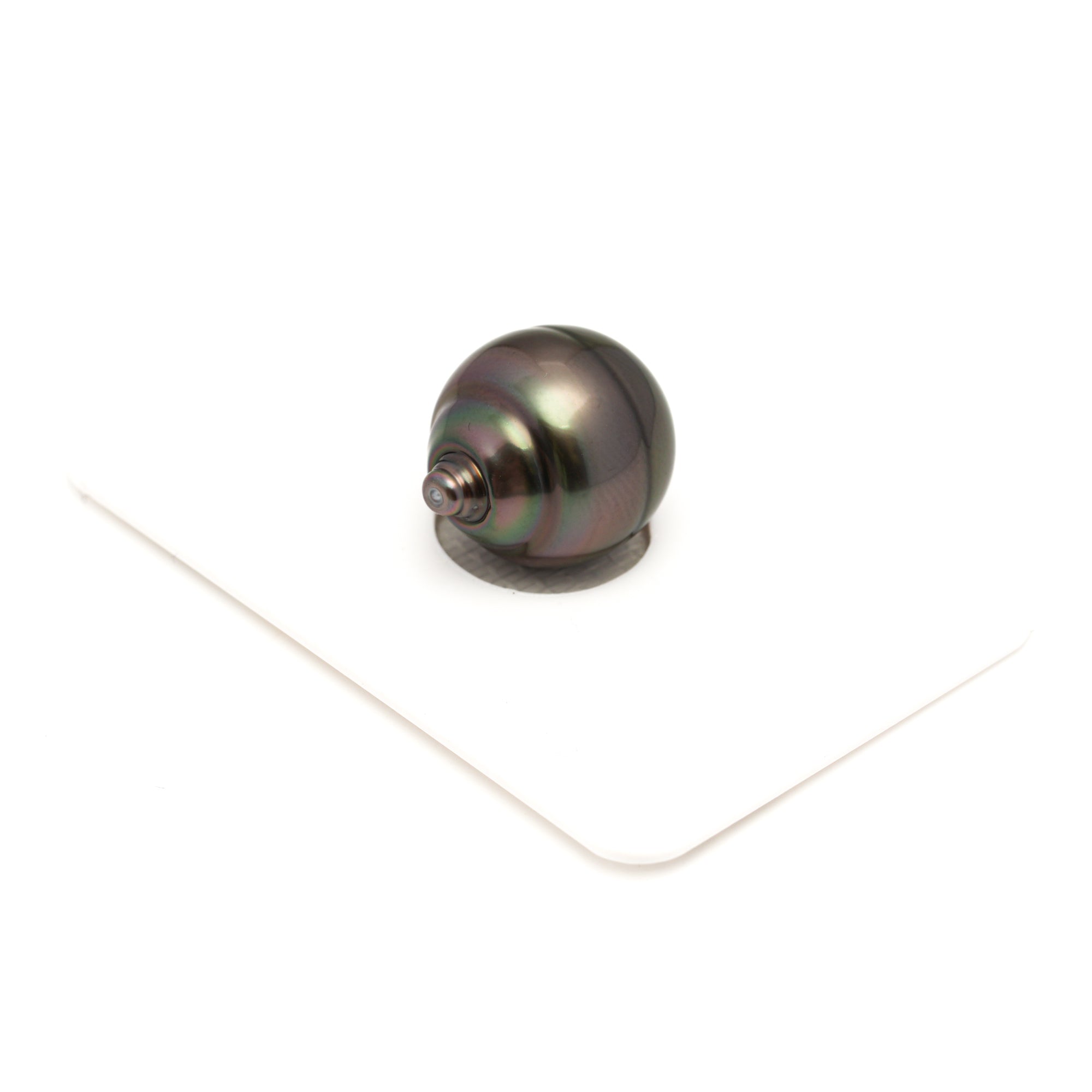 1pcs Dark Cherry 13.6mm - CL/SB AAA Quality Tahitian Pearl Single LP2430 LP1