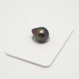 1pcs Peacock 10.6mm - CL AAA Quality Tahitian Pearl Single LP2026 OR7