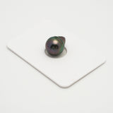 1pcs Peacock 10.6mm - CL AAA Quality Tahitian Pearl Single LP2026 OR7