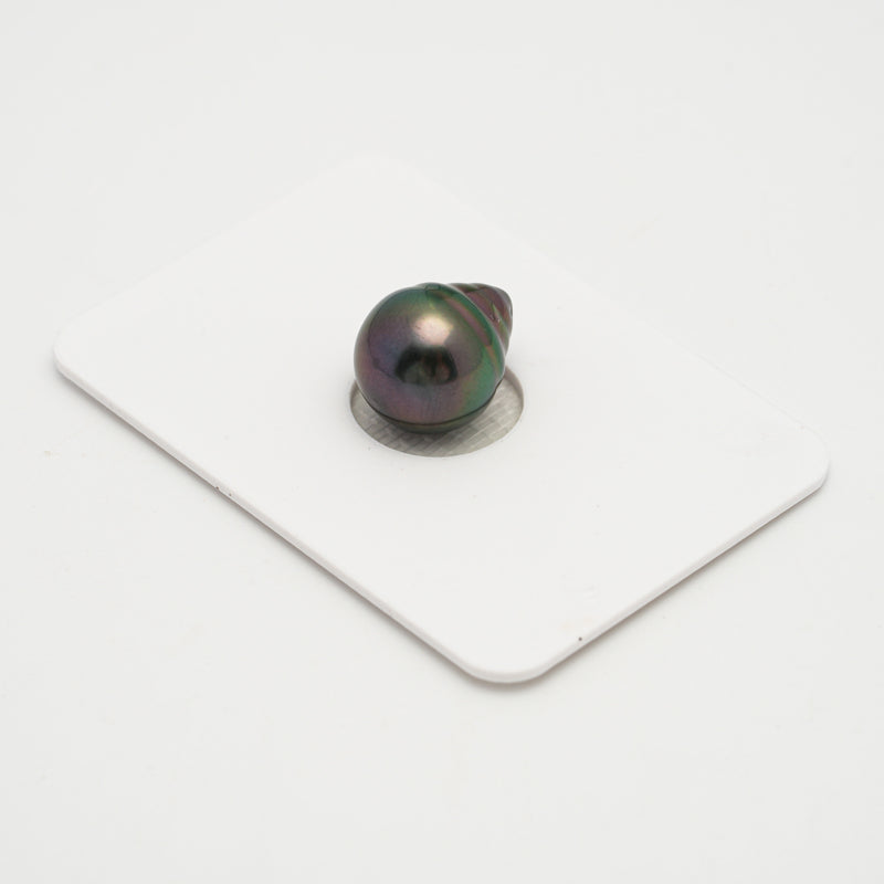 1pcs Peacock 10.6mm - CL AAA Quality Tahitian Pearl Single LP2026 OR7