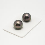 2pcs "High Luster" Peacock 12.4-12.5mm - RSR AAA Quality Tahitian Pearl Pair ER1466