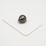 1pcs Peacock 10.6mm - CL AAA Quality Tahitian Pearl Single LP2026 OR7