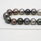 31pcs Multicolor 10-12mm - SR AA/AAA Quality Tahitian Pearl Necklace NL1514 TH2