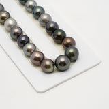 31pcs Multicolor 10-12mm - SR AA/AAA Quality Tahitian Pearl Necklace NL1514 TH2