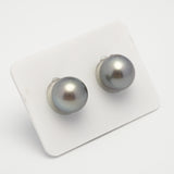 2pcs Gray 12mm - SR AAA Quality Tahitian Pearl Pair ER1550 A101