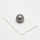 1pcs Purple 12.3mm - NR AAA/AA Quality Tahitian Pearl Single LP2051 OR6