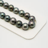 41pcs Multicolor 8-10mm - OV AAA/TOP Quality Tahitian Pearl Necklace NL1520