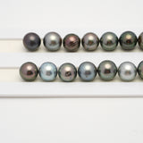 31pcs Multicolor 10-12mm - SR AA/AAA Quality Tahitian Pearl Necklace NL1514 TH2