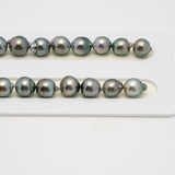 42pcs Green Mix 8-10mm - SB AAA Quality Tahitian Pearl Necklace NL1531 A101