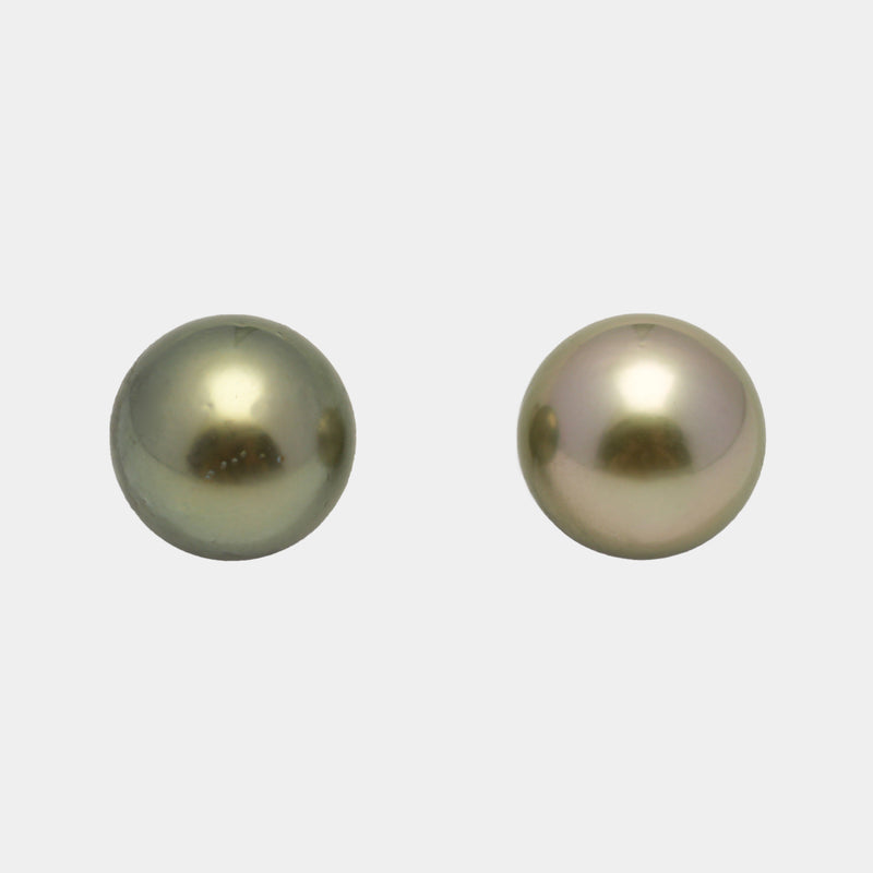 2pcs Yellow 12.4mm - RSR AAA/AA Quality Tahitian Pearl Pair ER1491