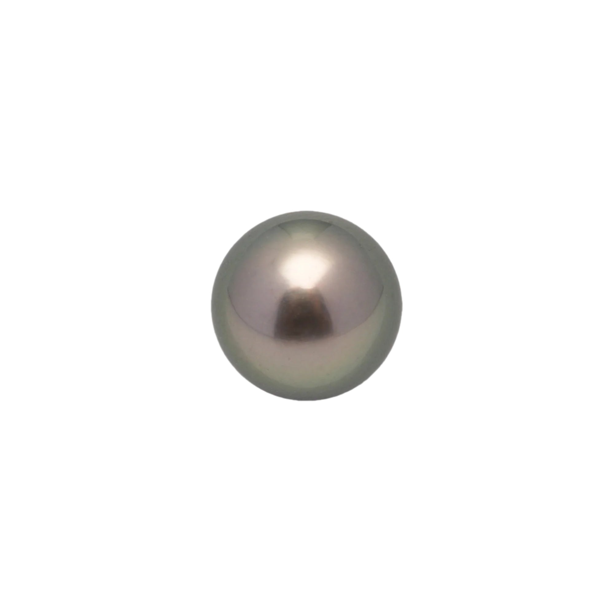 1pcs Brown 11.2mm - SR AAA Quality Tahitian Pearl Single LP2208 OR6