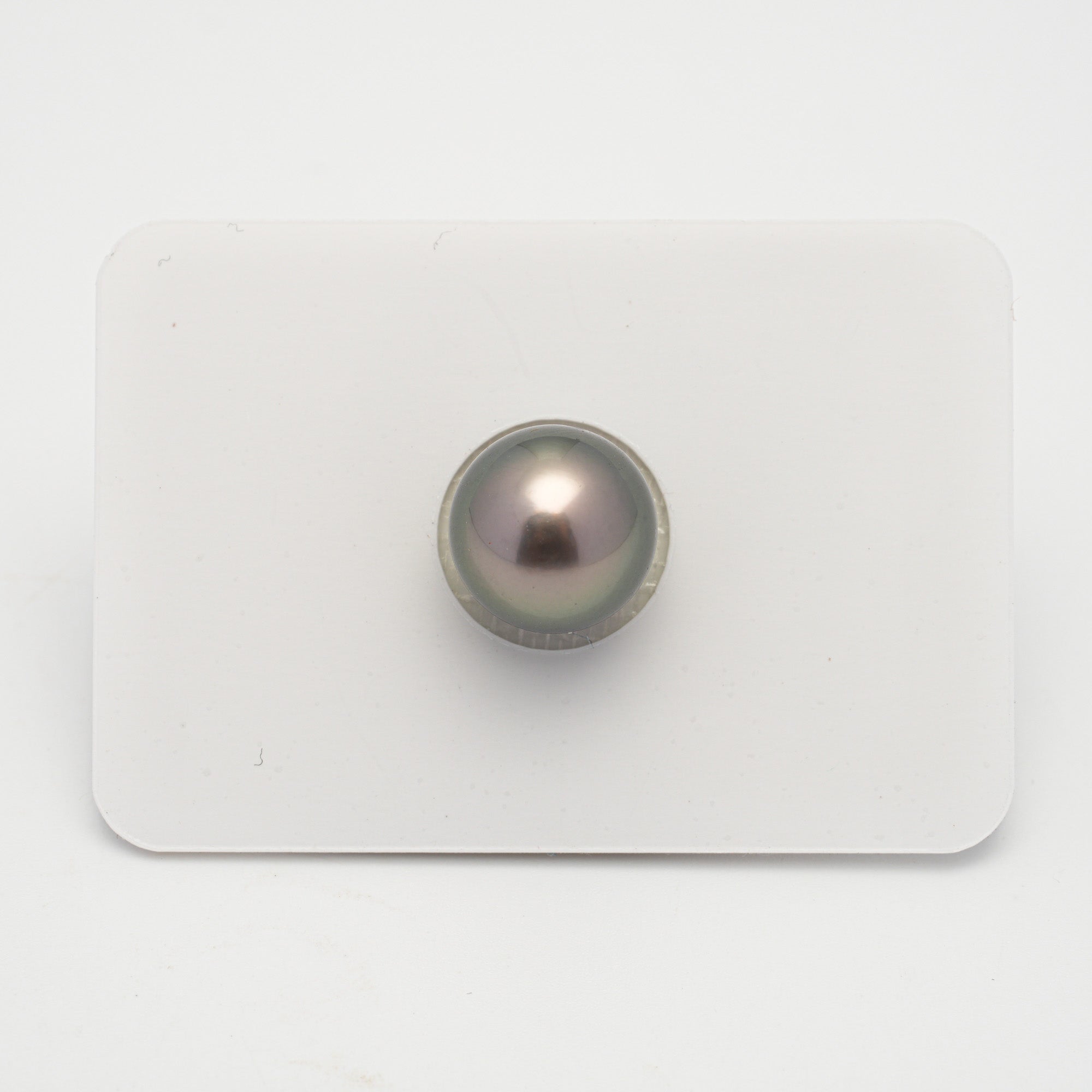 1pcs Brown 11.2mm - SR AAA Quality Tahitian Pearl Single LP2208 OR6