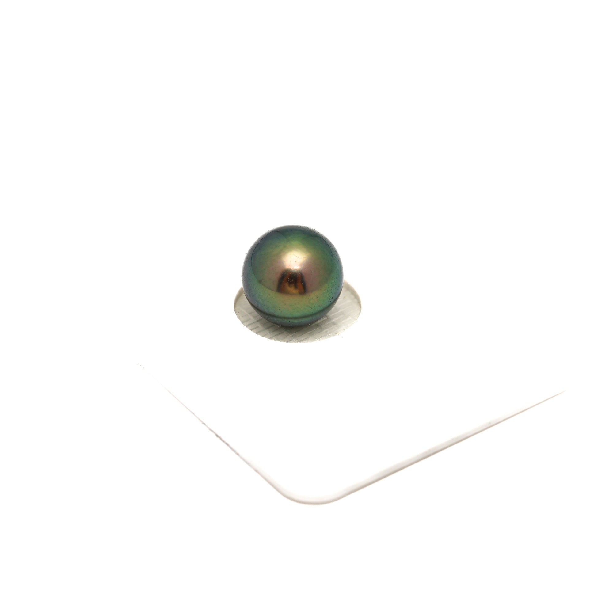 1pcs "High Luster" Peacock 9.8mm - RSR AAA Quality Tahitian Pearl Single LP2380 OR13