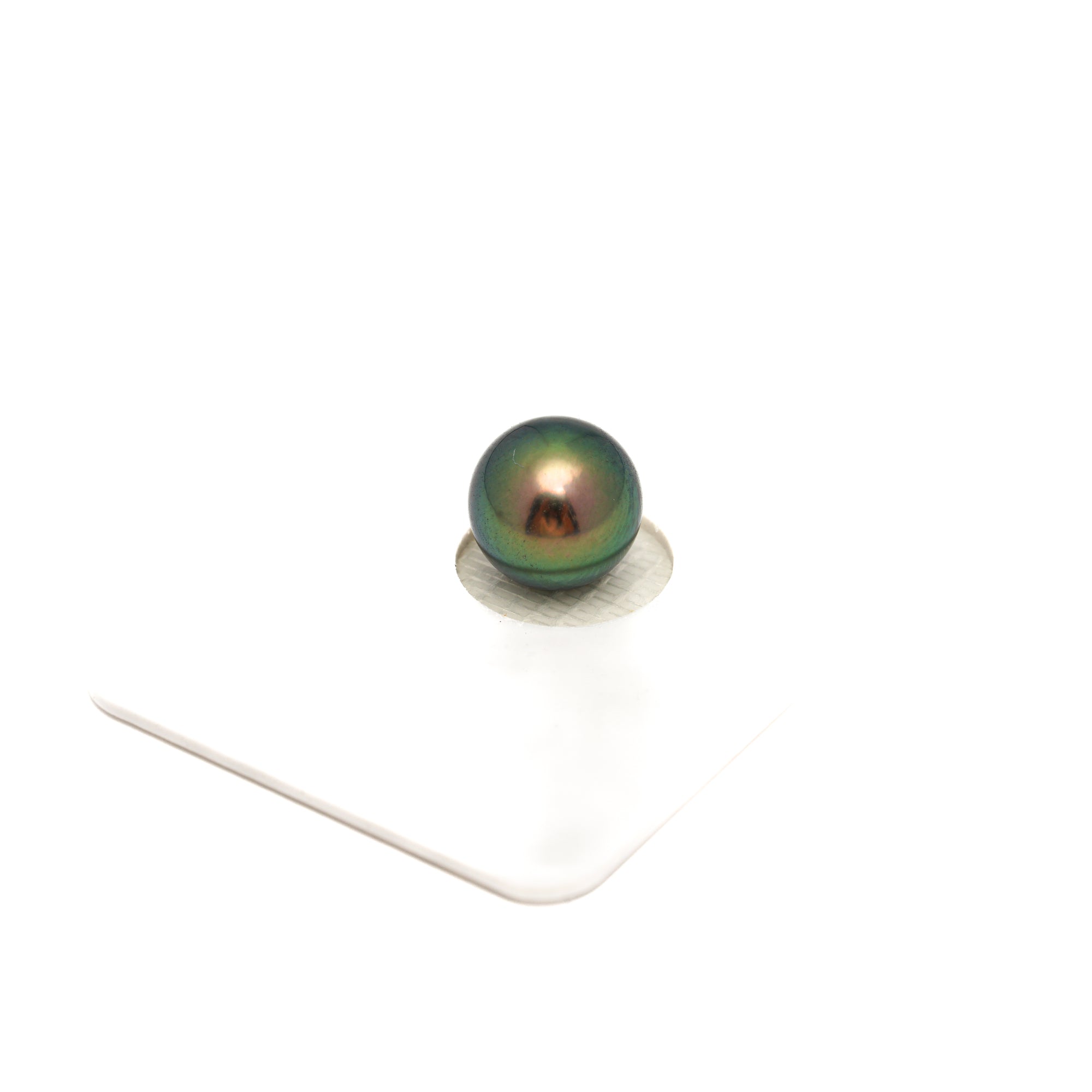 1pcs "High Luster" Peacock 9.8mm - RSR AAA Quality Tahitian Pearl Single LP2380 OR13