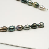 31pcs "High Luster" Multicolor 9-12mm - SB AAA/AA Quality Tahitian Pearl Necklace NL1569 HL3