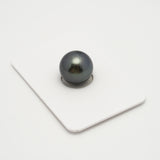 1pcs Blue 12.9mm - SR AA Quality Tahitian Pearl Single LP1987 THMIX2