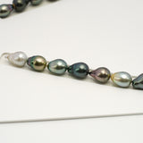 31pcs "High Luster" Multicolor 9-12mm - SB AAA/AA Quality Tahitian Pearl Necklace NL1569 HL3