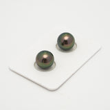 2pcs "High Luster" Peacock 10.4mm - SR AAA Quality Tahitian Pearl Pair ER1591 OR10