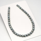 39pcs "High Luster" Light Blue 8-11mm - SB AAA/AA Quality Tahitian Pearl Necklace NL1604 HL3