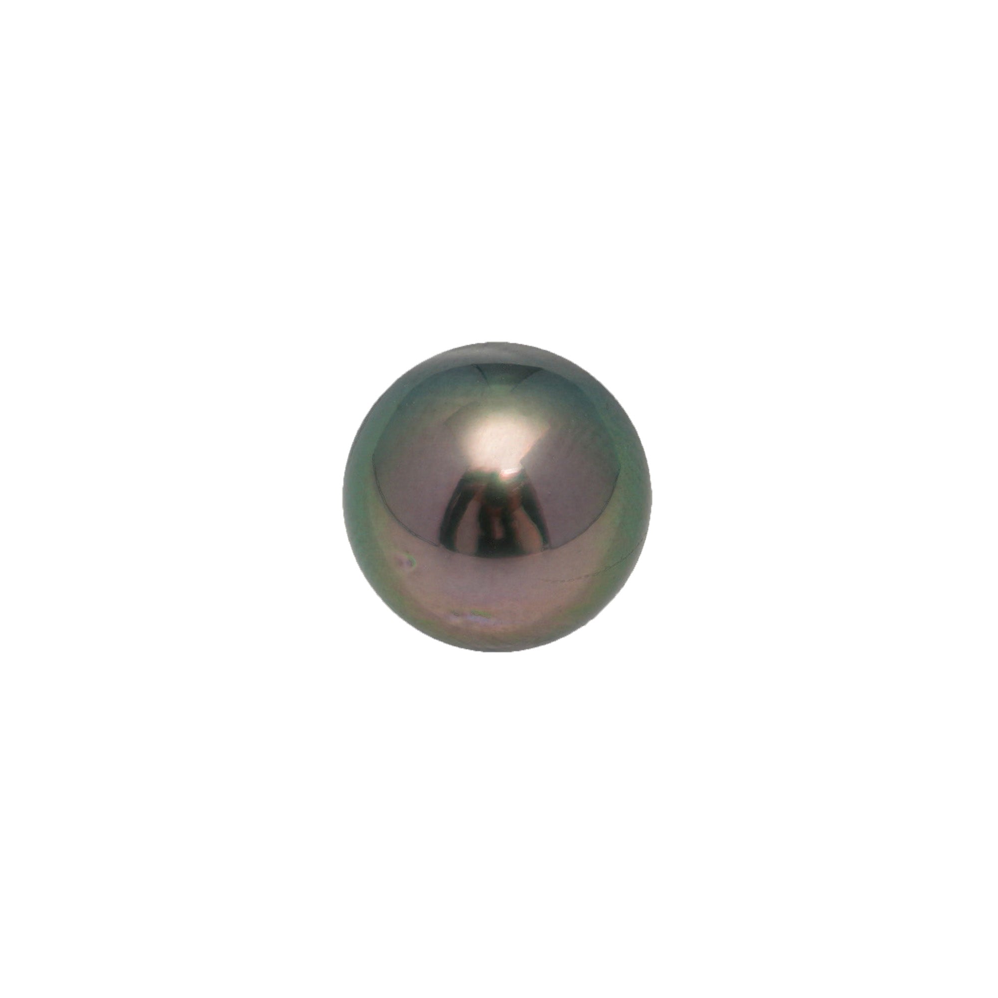 1pcs "High Luster" Peacock 10.4mm - NR AAA/AA Quality Tahitian Pearl Single LP2225 OR12