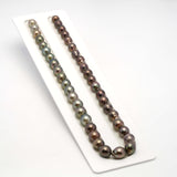 41pcs "High Luster" Multicolor 8-11mm - CL/SB AAA/AA Quality Tahitian Pearl Necklace NL1493 THMIX1