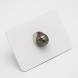 1pcs "High Luster" Peacock 9.5mm - CL AAA Quality Tahitian Pearl Single LP2033 OR7