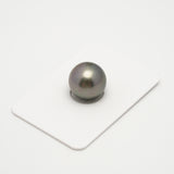 1pcs Blue 13.7mm - SR AA Quality Tahitian Pearl Single LP2056 OR6