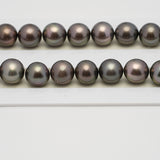 38pcs Cherry 11-12mm - SR AAA/TOP Quality Tahitian Pearl Necklace NL1533 A101