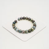 21pcs "Top Luster" Multicolor 8-10mm - SB/NR AAA Quality Tahitian Pearl Bracelet BR2204 HL3