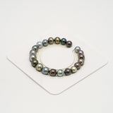 21pcs "Top Luster" Multicolor 8-10mm - SB/NR AAA Quality Tahitian Pearl Bracelet BR2204 HL3