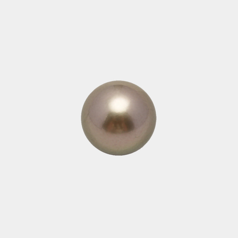 1pcs Light 10.5mm - RSR AAA Quality Tahitian Pearl Single LP2057 OR6