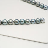 44pcs "High Luster" Sky Blue 8-11mm - SB AAA/AA Quality Tahitian Pearl Necklace NL1605 HL3