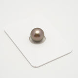 1pcs Light 10.5mm - RSR AAA Quality Tahitian Pearl Single LP2057 OR6