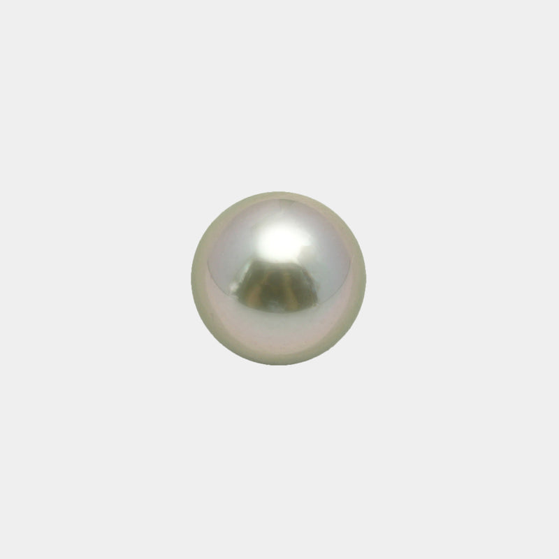 1pcs "High Luster" Light Cream 10mm - SR/NR AAA Quality Tahitian Pearl Single LP2118 OR10