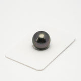 1pcs "High Luster" Dark 13.6mm - SR AAA/AA Quality Tahitian Pearl Single LP1761 RIO1