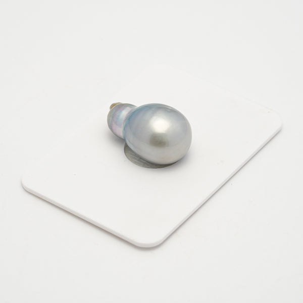 1pcs Silver Gray 12.3mm - SB AA/A Quality Tahitian Pearl Single LP2214 OR4