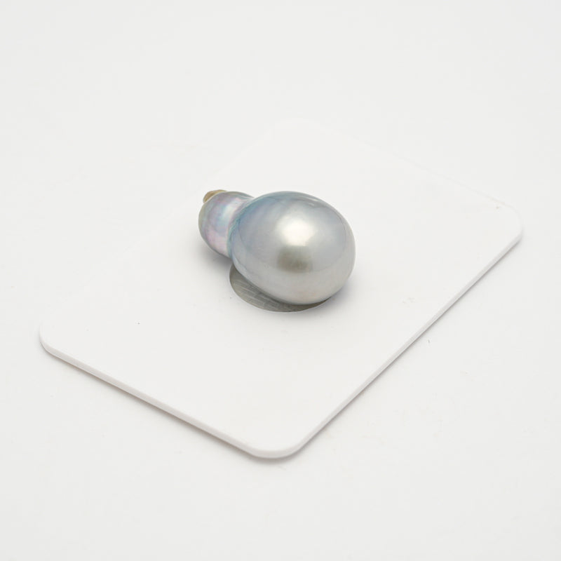 1pcs Silver Gray 12.3mm - SB AA/A Quality Tahitian Pearl Single LP2214 OR4