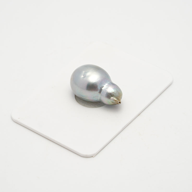 1pcs Silver Gray 12.3mm - SB AA/A Quality Tahitian Pearl Single LP2214 OR4