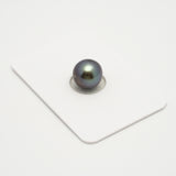 1pcs Purple Blue 10.2mm - SR/NR AA/AAA Quality Tahitian Pearl Single LP2062 THMIX1