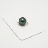 1pcs Purple 9.9mm - SB AAA Quality Tahitian Pearl Single LP2040 OR7