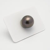 1pcs Dark 15.4mm - RSR AA Quality Tahitian Pearl Single LP2224