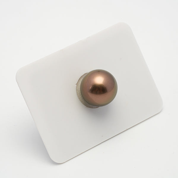 1pcs "High Luster" Brown 12.4mm - RSR AAA/TOP Quality Tahitian Pearl Single LP1756 OR7