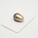 1pcs Golden Green 11.7mm - SB AAA Quality Tahitian Pearl Single LP2010 THMIX1